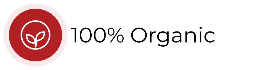 Frame 27.png__PID:dea6d21c-d847-4314-afd3-2c4548fe1036