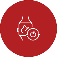 Wellness and lifestyle assessment